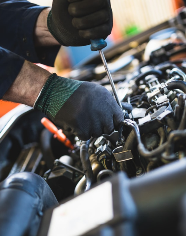 Service & Maintenance